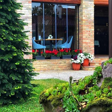 Villa Diva Budureasa Zewnętrze zdjęcie