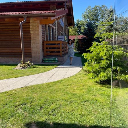 Villa Diva Budureasa Zewnętrze zdjęcie