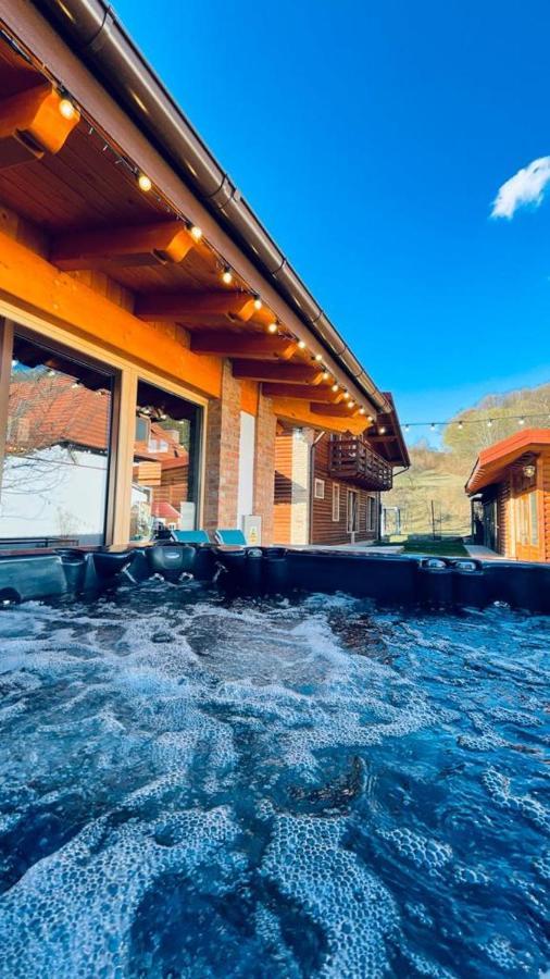 Villa Diva Budureasa Zewnętrze zdjęcie