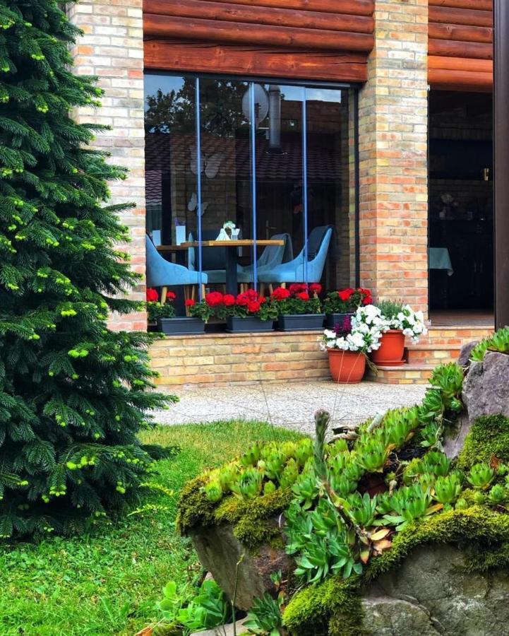 Villa Diva Budureasa Zewnętrze zdjęcie