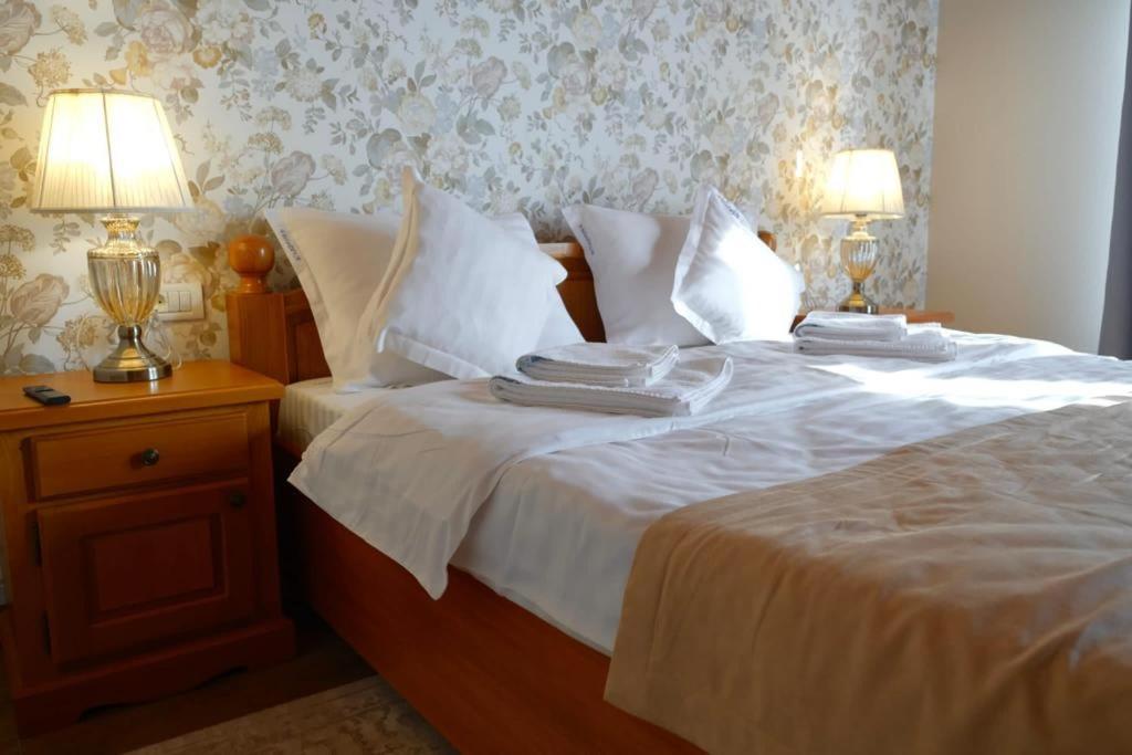Villa Diva Budureasa Zewnętrze zdjęcie